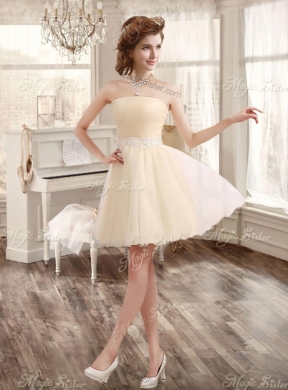 Classical Applique and Ruffled Champagne Sweet 16 Dress and Short Dama Dresses