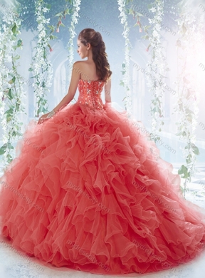 Pretty Brush Train  Detachable Quinceanera Skirts with Beading and Ruffles