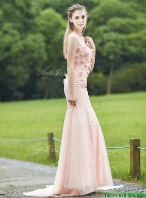 Luxurious See Through Light Pink Mermaid Mother Dress with Brush Train