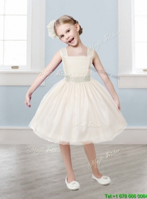 Popular Straps Tulle Mini Quinceanera Dress with Bowknot and Beading