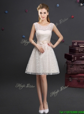 Lovely See Through Scoop Short Dama Dress with Appliques and Lace