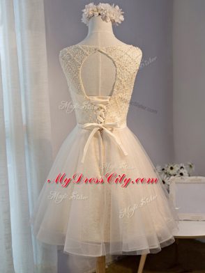 Mini Length Pink Hoco Dress Scoop Sleeveless Lace Up