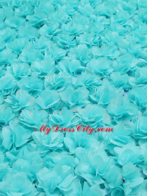 Nice Off The Shoulder Sleeveless Court Train Lace Up Sweet 16 Quinceanera Dress Aqua Blue Tulle