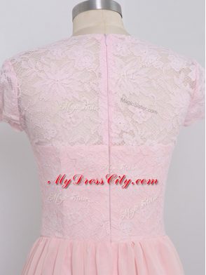 Lovely Lace Court Dresses for Sweet 16 Baby Pink Zipper Cap Sleeves Floor Length