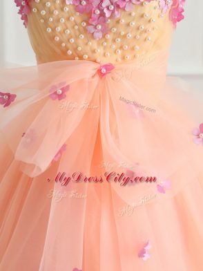 Sweetheart Sleeveless Organza Quinceanera Gown Beading and Appliques and Bowknot Lace Up