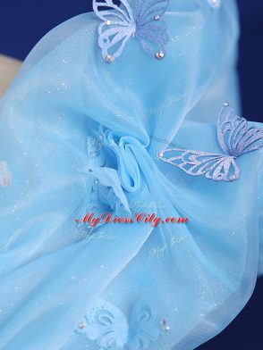 Flare Floor Length Ball Gowns Sleeveless Baby Blue Sweet 16 Dresses Zipper