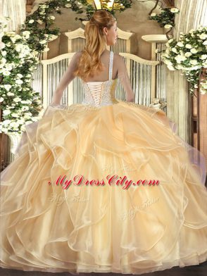 Charming Floor Length Ball Gowns Sleeveless Rose Pink 15 Quinceanera Dress Lace Up