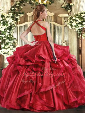 Organza Sleeveless Floor Length Quince Ball Gowns and Ruffles