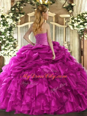 Organza Sleeveless Floor Length Sweet 16 Dresses and Ruffles and Pick Ups