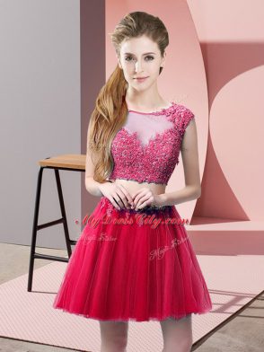 Romantic Hot Pink Sleeveless Mini Length Appliques Zipper Homecoming Dress