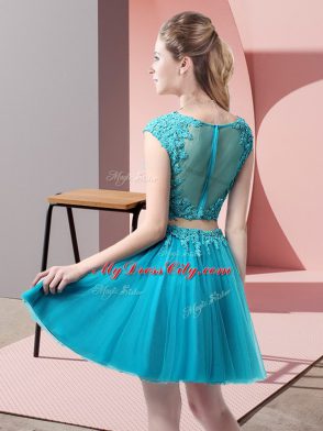 Romantic Hot Pink Sleeveless Mini Length Appliques Zipper Homecoming Dress