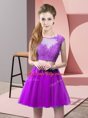 Eggplant Purple Tulle Zipper Sleeveless Mini Length Appliques