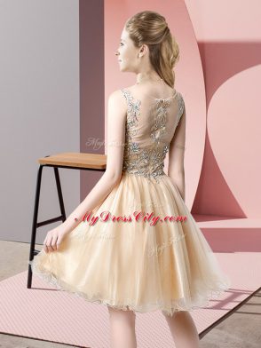 Wonderful Sleeveless Zipper Knee Length Beading Evening Dress