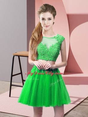 Tulle Sleeveless Mini Length Prom Dresses and Appliques