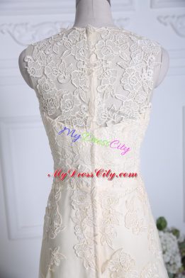 Sleeveless Brush Train Zipper Lace and Appliques Prom Dresses