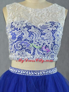 Royal Blue Sleeveless Lace Floor Length Ball Gown Prom Dress