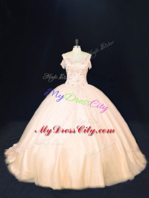 Chic Peach Sleeveless Tulle Court Train Zipper 15 Quinceanera Dress for Sweet 16 and Quinceanera