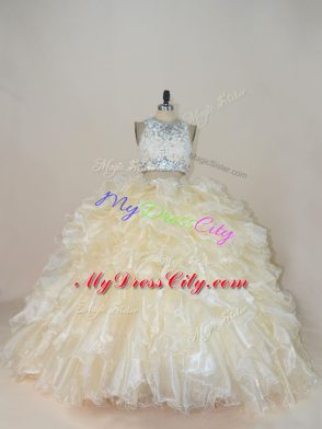 Fine Champagne Sleeveless Organza Brush Train Zipper Quinceanera Dresses for Sweet 16 and Quinceanera