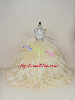 Fine Champagne Sleeveless Organza Brush Train Zipper Quinceanera Dresses for Sweet 16 and Quinceanera