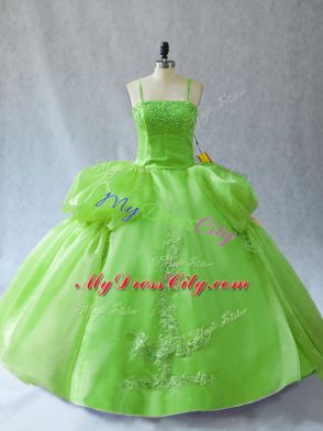 Fantastic Organza Lace Up 15th Birthday Dress Sleeveless Floor Length Appliques