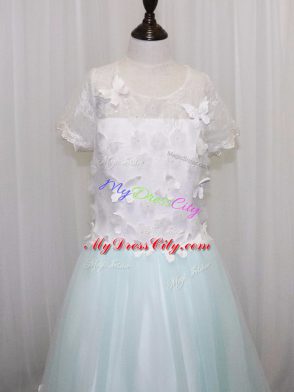 Fabulous Apple Green Clasp Handle Flower Girl Dresses for Less Appliques Short Sleeves Brush Train