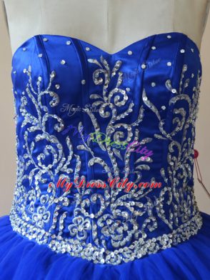 Floor Length Ball Gowns Sleeveless Royal Blue Quinceanera Gown Lace Up