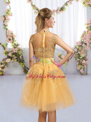 Amazing Knee Length Gold Wedding Guest Dresses Tulle Cap Sleeves Lace and Bowknot