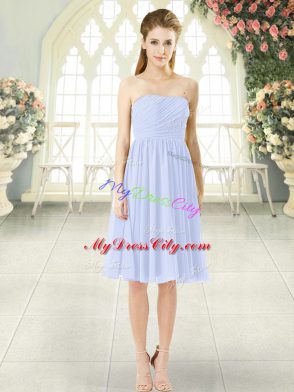 Strapless Sleeveless Side Zipper Baby Blue Chiffon