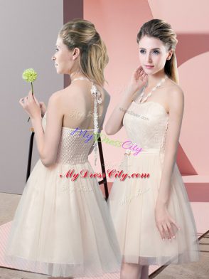 Champagne Tulle Side Zipper Prom Evening Gown Sleeveless Mini Length Lace