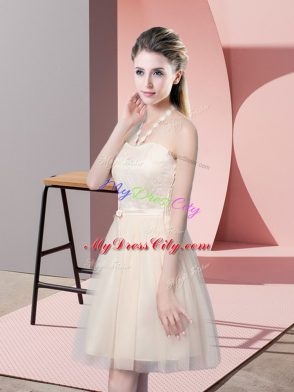 Champagne Tulle Side Zipper Prom Evening Gown Sleeveless Mini Length Lace