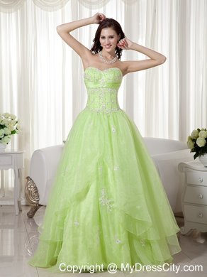 Yellow Green Organza Sweetheart Beading A-line Prom Gown