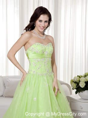 Yellow Green Organza Sweetheart Beading A-line Prom Gown