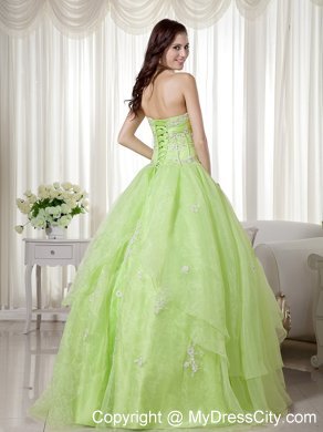 Yellow Green Organza Sweetheart Beading A-line Prom Gown