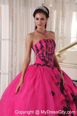 Hot Pink Sleeveless Strapless Lace Appliques Quinceanera Dress