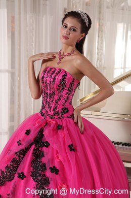 Hot Pink Sleeveless Strapless Lace Appliques Quinceanera Dress