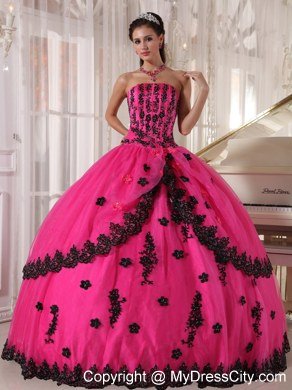 Hot Pink Sleeveless Strapless Lace Appliques Quinceanera Dress