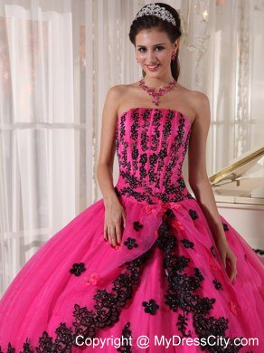 Hot Pink Sleeveless Strapless Lace Appliques Quinceanera Dress