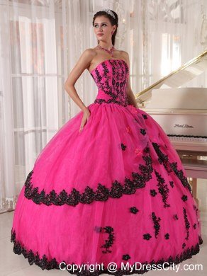 Hot Pink Sleeveless Strapless Lace Appliques Quinceanera Dress