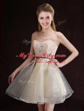 Sleeveless Organza Mini Length Lace Up Wedding Guest Dresses in Champagne with Appliques and Belt