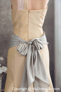 Column Sash Brush Train Celebrity Dress in Nude Color