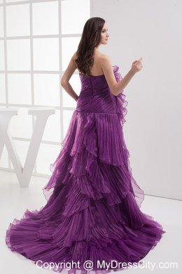 A-line Purple Strapless Ruffled Organza Celebrity Dress