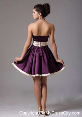 Strapless Dark Purple Mini-length Homecoming Dress With Sash