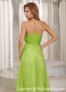 Spring Green Sweetheart Prom Dresses with Floor-length 2013