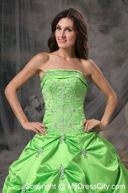 Strapless Appliques With Beading Spring Green Quinceanera Gowns