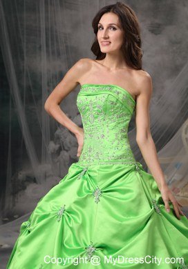 Strapless Appliques With Beading Spring Green Quinceanera Gowns