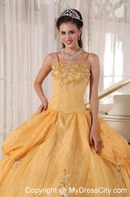 Spaghetti Straps Taffeta and Organza Appliques Gold Quinceanera Dresses