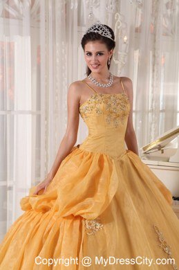 Spaghetti Straps Taffeta and Organza Appliques Gold Quinceanera Dresses