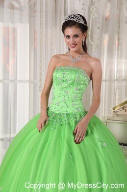 Strapless Embroidery With Beading For Spring Green Quinceanera Dresses