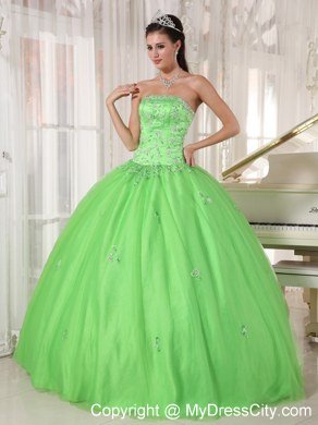 Strapless Embroidery With Beading For Spring Green Quinceanera Dresses