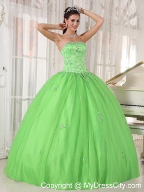 Strapless Embroidery With Beading For Spring Green Quinceanera Dresses